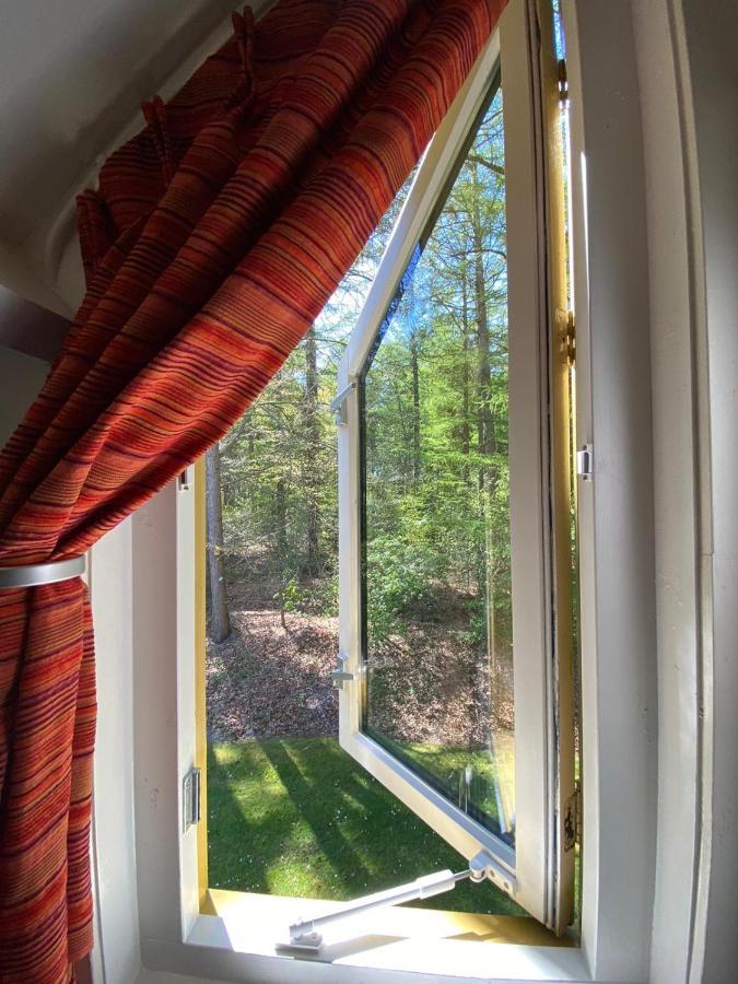Marry'S Boshuisje Dalfsen Exteriör bild