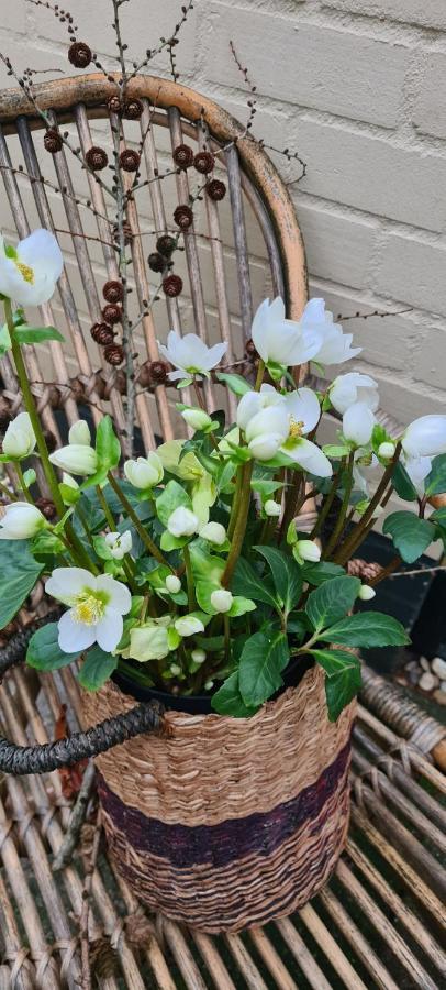 Marry'S Boshuisje Dalfsen Exteriör bild