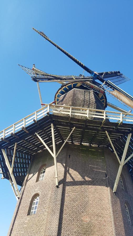 Marry'S Boshuisje Dalfsen Exteriör bild